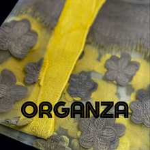 Load image into Gallery viewer, Omber Organza Shawl
